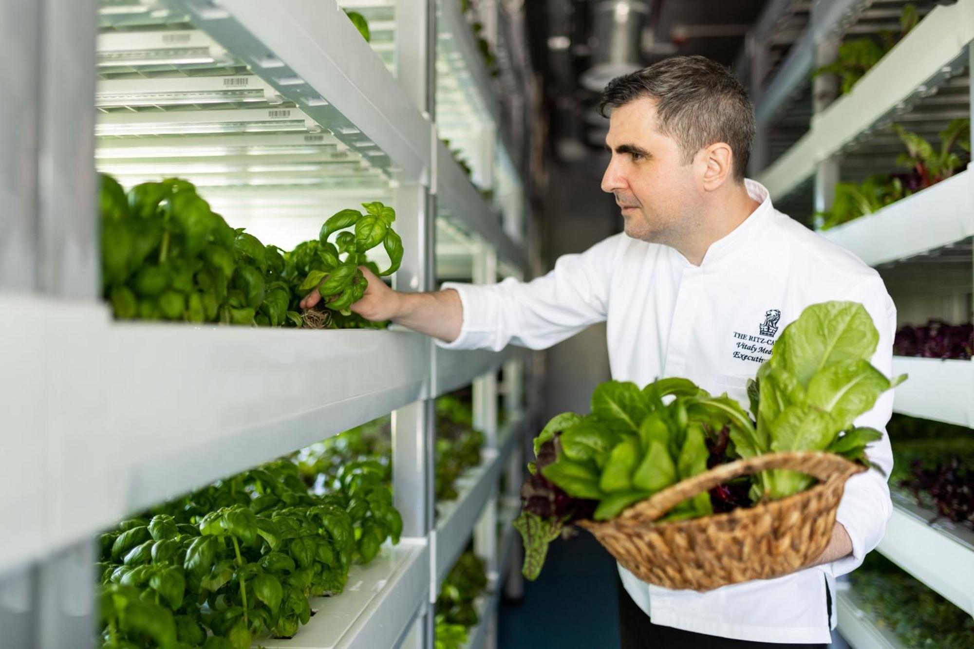 The Ritz-Carlton Abu Dhabi, Grand Canal Esterno foto Lettuce grown in the International Space Station's Destiny laboratory